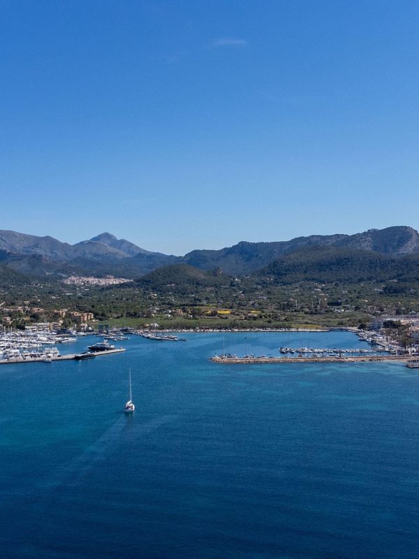 Mojo Deling Co Ejerskab Mallorca