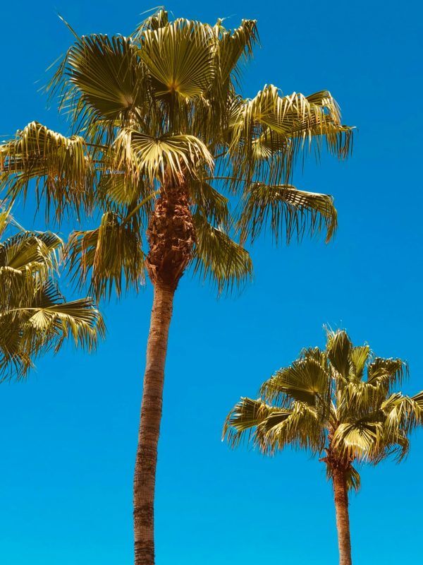 yena-kwon-QnR_V3YaEJ4-unsplash